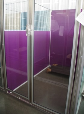 example of inside of a canine room at the Retreat