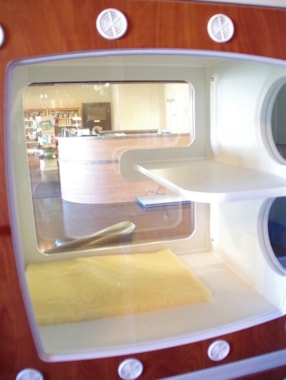 inside of a feline condo