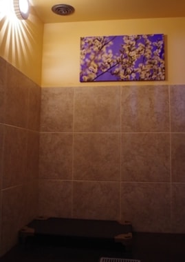 inside of another canine suite