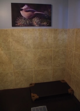 inside of a different canine suite