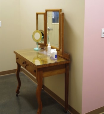 dog spa treatment area