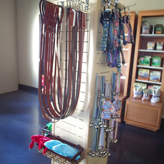 leashes and other accessories