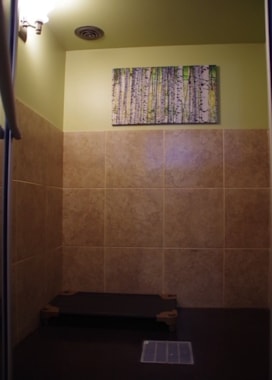 inside of a canine suite