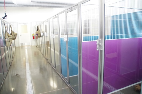 room with private dog rooms at the Retreat