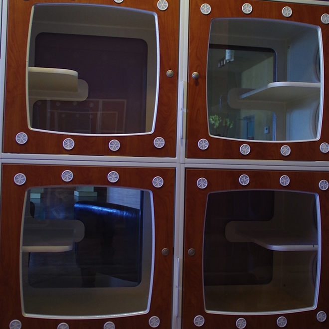 cat condos at the retreat