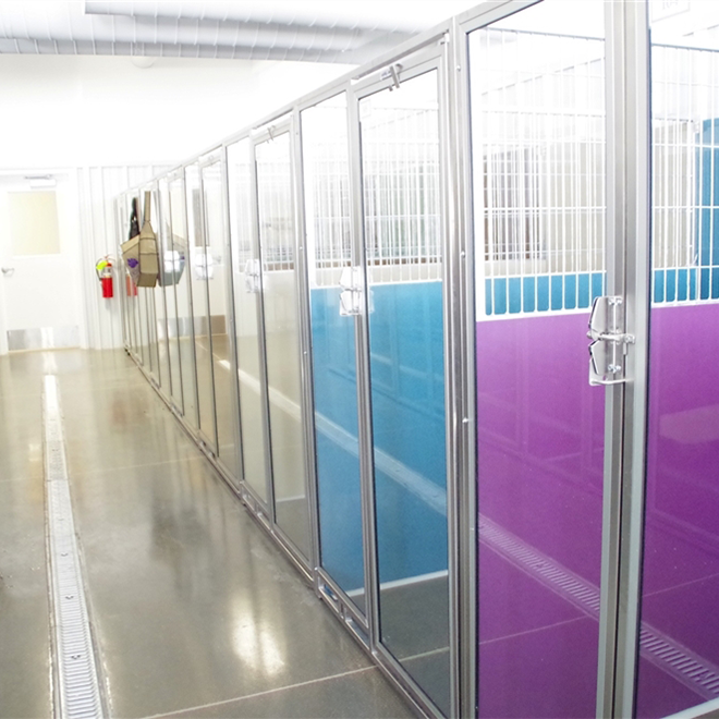 dog kennels at the retreat for boarding
