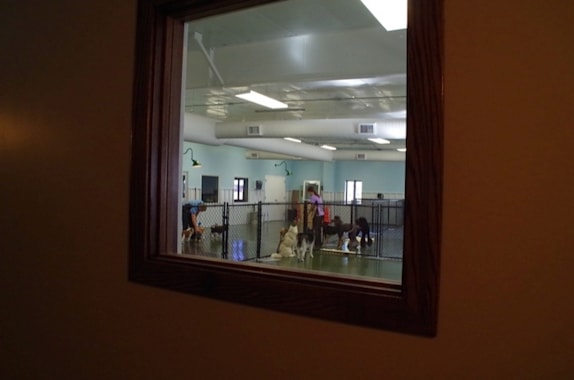 view of the daycare play area