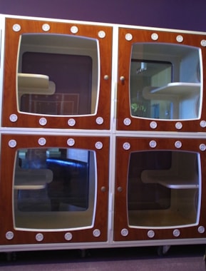 some feline condos on the wall in the cat room