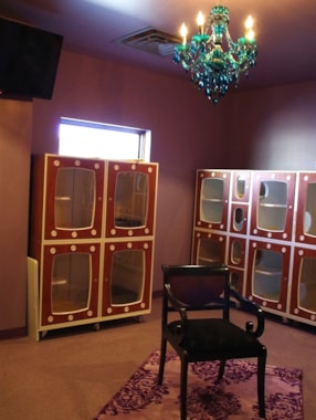 the cat room at the Retreat